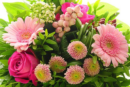 Большой выбор свежих роз, гербер, хризантем и других цветов от салона Magic Flower со скидкой 50%