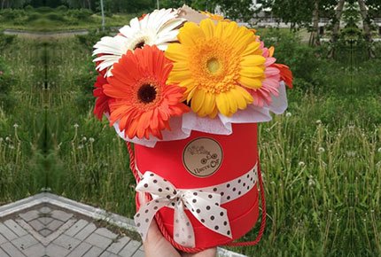 Герберы в шляпной коробке, деревянном кашпо или корзине со скидкой 50% от букетной мастерской ЦветкОFF