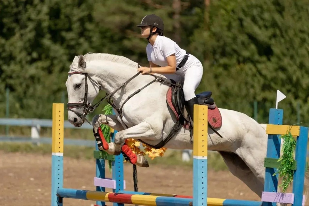 Обучение верховой езде за 750 рублей по купону