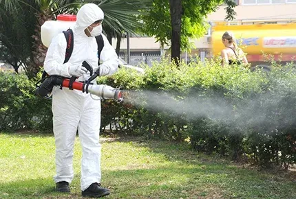 Уничтожение насекомых со скидкой 50% от Эко-Сервиса