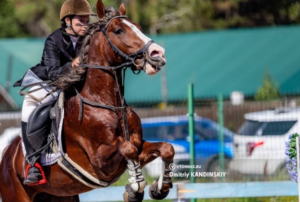 Обучение верховой езде за 700 рублей по купону