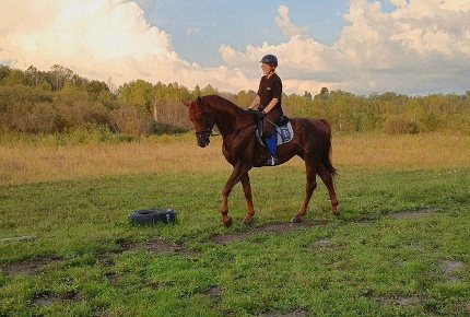Катание на лошадях со скидкой 50% от клуба Alicorn в Корнилово