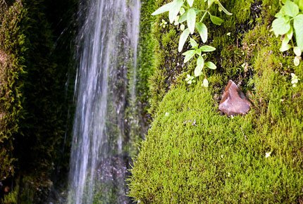 5 сентября автобусная экскурсия в «Звёздный ключ» со скидкой 50%