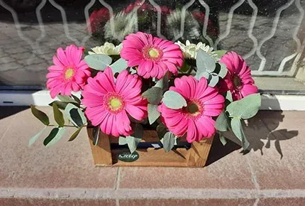 Большой ящик с герберой и эвкалиптом со скидкой 50% в мастерской цветов «Клевер» на Гагарина