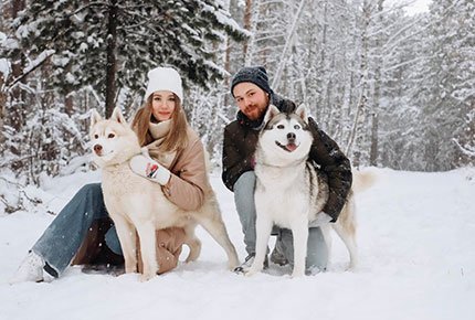 Фотосессия с собаками от питомника "Сибериан Соул" со скидкой 50%
