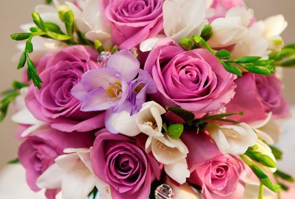 Огромный выбор роз со скидкой 50% в мастерской цветов и подарков «Клевер» на Гагарина