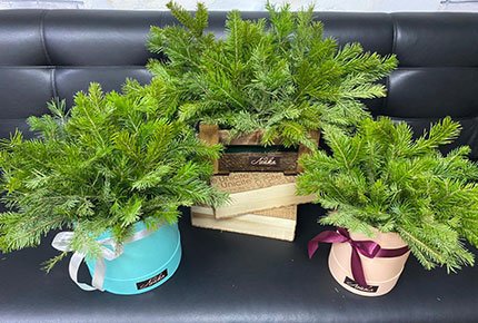 Новогодняя композиция в цветочной мастерской «Лейка» со скидкой 50%