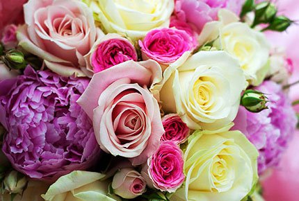 Свежие розы, тюльпаны и герберы от "Дома цветочной моды" со скидкой до 80%