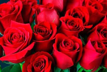 Розы и герберы со скидкой до 50% от салона «Долина цветов»