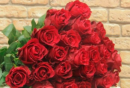 Эквадорские розы со скидкой 50% от салона цветов и подарков «Синяя птица»